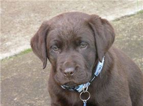 borrid garden day 006