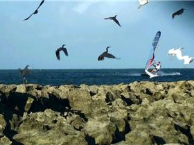 green island the past few days