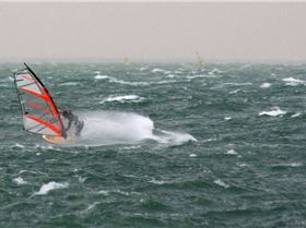 Windy Day April 2008 008