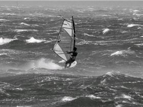 Windy Day April 2008 143