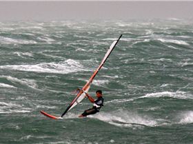 Windy Day April 2008 159