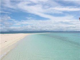 491136507 ca3d0e9948 z