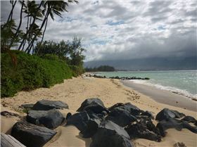 View from the backyard