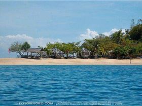 4244659091 7257119288