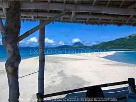 4244660595 dbdccb6a65