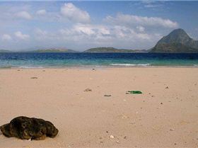 4507264609 bca63db952 z