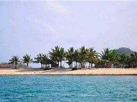 4507264595 0ce659ce4f z