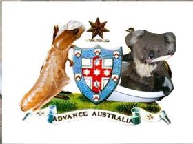 koala and termite