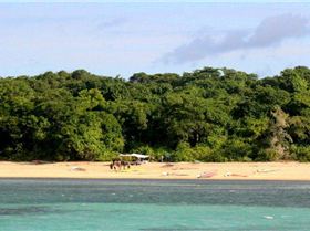 green island speed week day 3