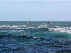 green island speed week day 4