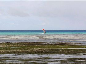 green island speed week day 4