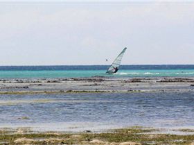 green island speed week day 4