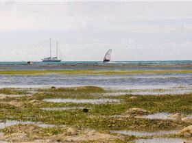 green island speed week day 4