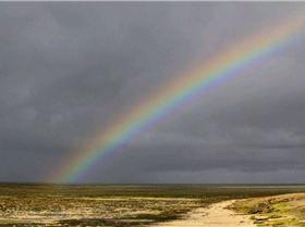 green island speed week day 4