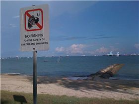 Sailing before fishing