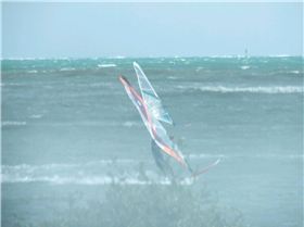 Lang, Rushton, Bret, Burrows.Bust out 30 to 40 wsw for session