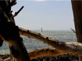 last day of speed week