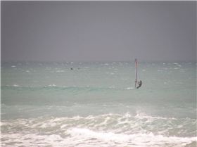 whale in the background