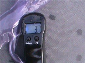 custom freestyle 215