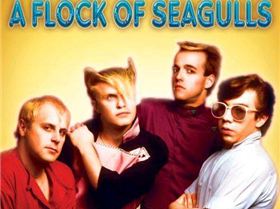 B000ERU3PG.01. SS500 SCLZZZZZZZ V64884696 