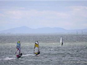 Green Pt 14 Aug 2010