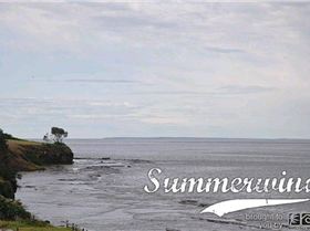 Great day for water skiing