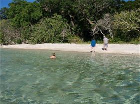 Swimming the isolated back beach