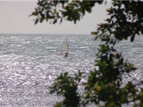 Early Jeri Season 2010