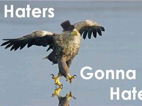 Eagle - Haters.JPG