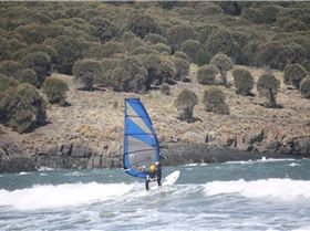 Carlton 29.09.10 013