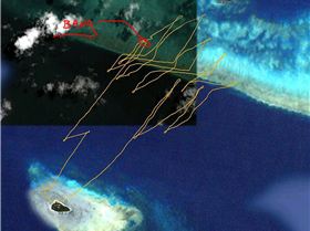 Sailing 8K's with broken ribs