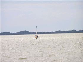 Sailor with a tail & Susie