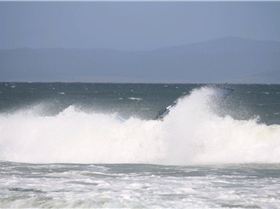 Marrawah- Carlton 29.09.10 867