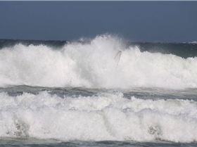 Marrawah- Carlton 29.09.10 871