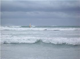 nene nice summer day