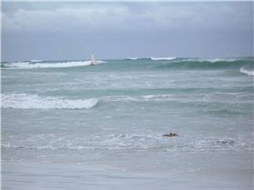end of a long one, shorey heaving