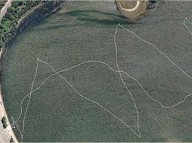 Narrabeen Lake 201110