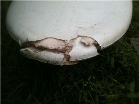 IPS Composite rhonoplasty.