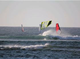 2011 Ka Kult 5.8 Spotty