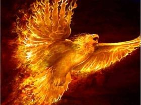 phoenix rising from the ashes