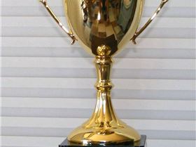 Crasher Perpetual Cup