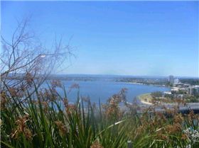 63232 1729441237188 1273187927 31836634 3012608 n