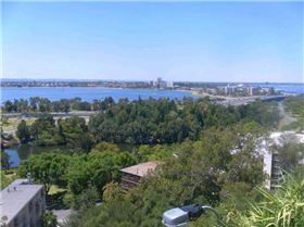 155779 1729441157186 1273187927 31836633 2146146 n