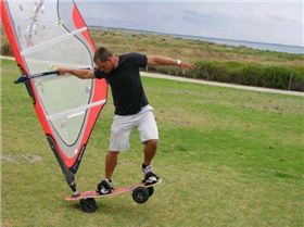 No Wind in Perth = Get the Turf Dog Out for a Laugh