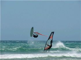 Ty backloop over caine