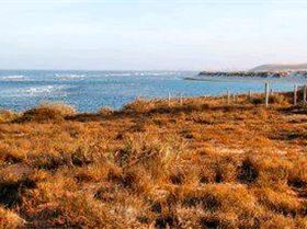 163079 470838451709 578451709 6193575 6228908 n