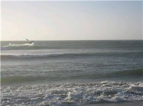 Hedrix and Jager and mates  pushing it  busting out 30 plus foot jump