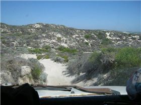 spot x house jan 2011 030