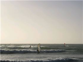 spot x house jan 2011 055