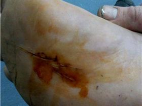 7121 1232393771312 1273187927 30664737 3714214 n